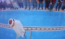 Camide Kediyi Tekmeleyen Kişi Gözaltına Alındı, Hayvanseverler Arıyor
