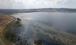 Çavuşçu Gölü Yeniden Suya Kavuştu, Hedef Balık Avlamak