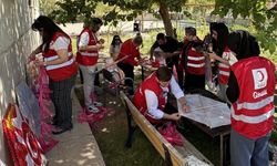 Cizreli Öğrencilerden Gazze'deki Çocuklara Uçurtma ile Destek