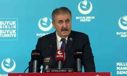 Destici: 'Devletimiz, terörün kökünü kazımaya devam edecek'