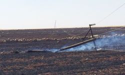Dicle Elektrik'ten Anız Yangınlarına Karşı Çevresel Sorumluluk Çağrısı