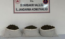 Diyarbakır'da Dev Uyuşturucu Operasyonu: 253 Bin Kök Kenevir ve 42 Kilo Esrar Ele Geçirildi