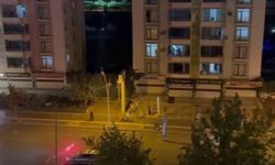 Diyarbakır'da Havai Fişek Faciası: İki Kardeş Yaralandı