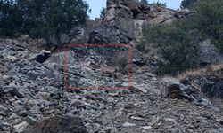 Diyarbakır'da Koruma Altındaki Dağ Keçileri Kameralara Yansıdı