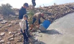 Edirne'de Sulama Kanallarında Mahsur Kalan Balıklar Kurtarıldı