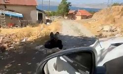 Elazığ'da Zincirle Ağaca Bağlanan Yaşlı Adam Şaşkınlık Yarattı