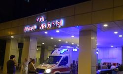Erciş'teki Trafik Kazasında Otomobil Sürücüsü Ağır Yaralandı