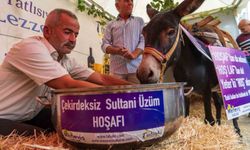 Eşek Hoşaf İçmeyi Başardı, Eğlenceli Anlar Ortaya Çıktı