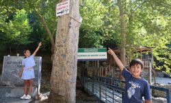Feke'de Çöp Sorununa Şaşırtan Tepki: 'Çöp Atan Eşektir' Tabelası