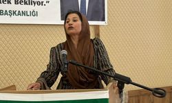 Fistan giyen kadın çiftçi, Yüksekova'da kadınların sorunlarını dile getirdi