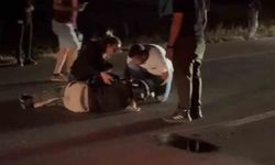 Fransız Turistin Koyunlarla Korkutucu Çarpışması: 3 Koyun Hayatını Kaybetti