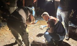 Gazipaşa Ormanında Gizemli Kafatası Bulundu