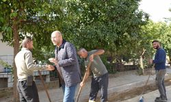Germencik İncir Festivali Geride Kaldı, Başkan Zencirci Saha Çalışmalarına Devam Ediyor