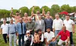 Gömeç'te Yağlı Güreş Coşkusu Zirveye Ulaştı