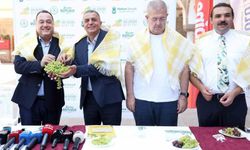 Hakan Şimşek, Bağ Bozumu Şenlikleri'ne katılmaya çağırdı