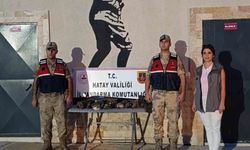 Hatay'da 7 koruma altındaki şahini avlayan kişiye ağır ceza verildi