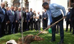 İçişleri Bakanı Çiftçi, adını taşıyan çınar fidanını toprakla buluşturdu