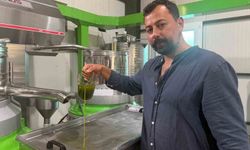 İlk Hasat Zeytinyağı Avrupa Pazarında