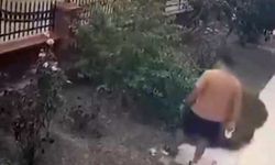 İzmir'de Yavru Kedilere Tekme Atan Şüpheli Yakalandı
