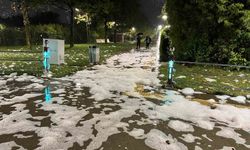 İzmit'teki Sahil Köpüğünde Tehlikeli Maddelere Rastlanmadı