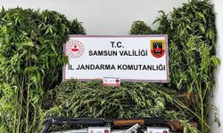 Jandarma, Salıpazarı'nda 756 Kök Kenevir ve Ruhsatsız Silahlar Ele Geçirdi