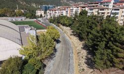 Karabük Belediyesi'nden Çevre Dostu Yeşillendirme Projeleri