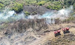 Karabük'te Anız Yangını Felaketi: Samanlık Alevlere Teslim