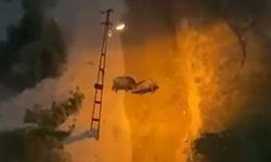Karabük'te iki yaban domuzunun kavgası kamerada