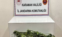 Karaman'da Jandarmadan Büyük Operasyon: 31 Kişi Yakalandı, 11'i Tutuklandı