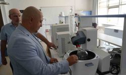 Kastamonu Ormanlarındaki Mantarlar Güneş Kremi Üretiyor