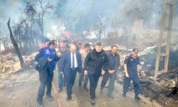 Kastamonu Valisi Dallı'dan Yangın Açıklaması: 'Soğutma Çalışmaları Devam Ediyor'