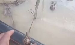 Kaynarca'daki Su Baskınında Salyangozlara İlginç Kurtarma Operasyonu