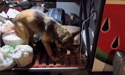 Kayseri'de yolcu otobüsü operasyonu: 3 kilo 420 gram uyuşturucuyla yakalanan 2 şüpheli tutuklandı