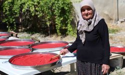 Kışa Hazırlık: Ağın'da Geleneksel Domates Salçası Güneşte Kurutuluyor