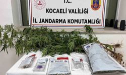 Kocaeli'de 1 kilo esrar ele geçirildi