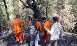 Kozan'daki Yangın Sonrası Yeşil Vatan Çalışmaları Başladı