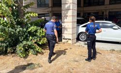 Kütahya'da Esnafın Beslediği Kedi, Bacakları Kesilmiş Halde Bulundu