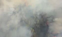 Manisa'da Orman Kenarında Tehlikeli Yangın Alarmı