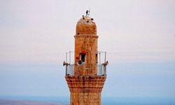 Mardin'de İşaret Diliyle Türkü Söyleyerek Farkındalık Yaratıldı