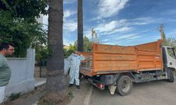 Marmaris'te Çöp Ev Skandalı: Bir Kamyon Çöp ve 30 Kedi Ortaya Çıktı