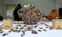 Mersin'de İğne Oyası Sanatı Yeniden Hayat Buluyor: Arıdan Kelebeğe Özgün Figürler İlgi Odağı