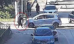 Minik Mavi'nin hayatını kaybettiği kazanın görüntüleri ortaya çıktı