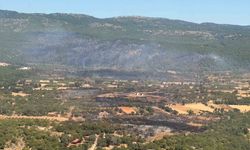 Muğla'daki yangına 90 saniyede 15 ton su bıraktılar