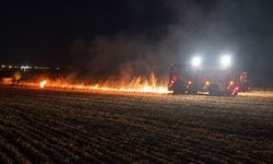 Muratlı'da Gölet Yakınında Açık Alan Yangını Kontrol Altına Alındı