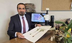 Muş'ta Eşsiz Bir Bitki Türü Keşfedildi: Fritillaria damlana
