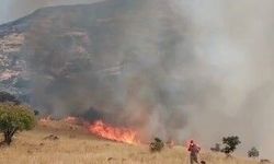 Nazımiye'de Orman Yangını: Havadan ve Karadan Mücadele Devam Ediyor