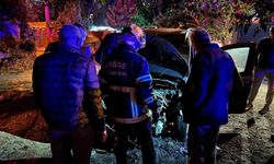 Niğde'de Park Halindeki Araçta Yangın Paniği