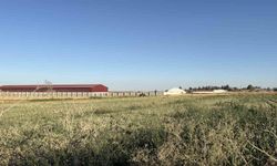 Odunpazarı'nda Bulunan Mühimmat Güvenli Şekilde İmha Edecek