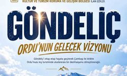 Ordu'da Göndeliç Dağı'nda Kış Turizmi İçin Büyük Proje: 4 Bin Hektar