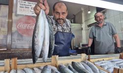 Palamut ve Hamsi Sezonu Düzce Tezgahlarını Şenlendiriyor